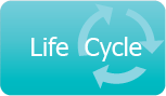 Life Cycle